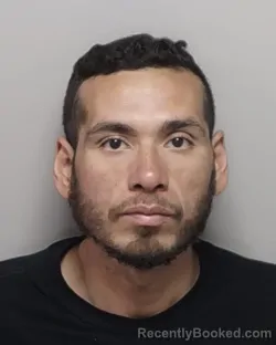 Mugshot of DAVID J IV MARTINEZ