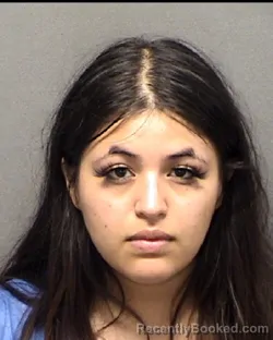 Mugshot of NEESA A MARTINEZ