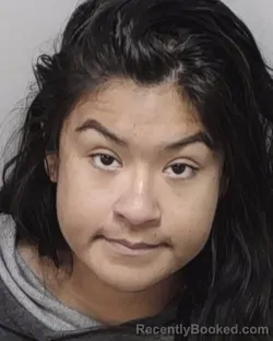 Mugshot of JESSICA M ARISTA