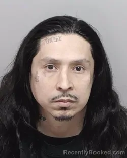 Mugshot of JOSEPH FERNANDEZ