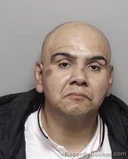 Mugshot of DANIEL J DELGADO