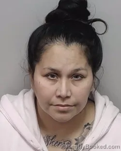 Mugshot of DANIELLE GOMEZ