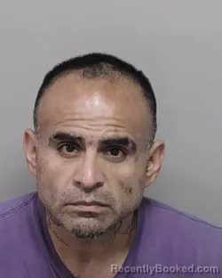 Mugshot of SANTINO F LONGORIA