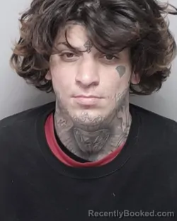 Mugshot of MICHAEL ARELLANO