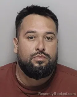 Mugshot of LUIS M HERNANDEZ