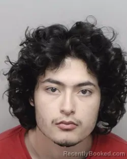 Mugshot of JORGE R RIVERA