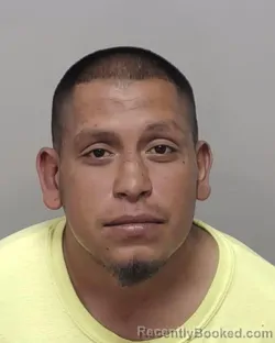 Mugshot of MARIANO VASQUEZ