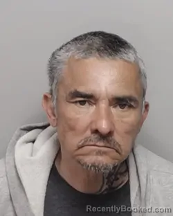 Mugshot of HENRY P FLORES