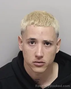 Mugshot of ANGEL DE JESUS SAN ROMAN SOCARRAS