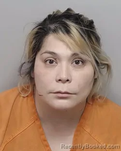 Mugshot of KARINA R VASQUEZ