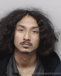 Mugshot of LOUIS A ARRIAGA