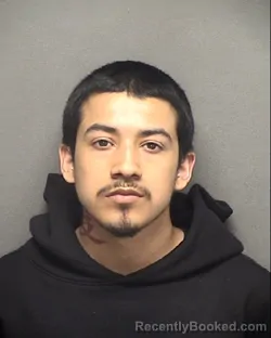 Mugshot of ROLANDO TELLO