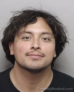 Mugshot of JAIME NAVA