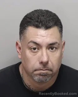 Mugshot of MANUEL JR DENA