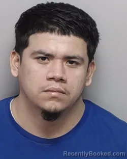 Mugshot of ERICK B FLORES-GUTIERREZ