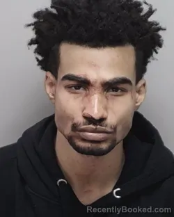 Mugshot of SHAYNE D NETTERVILLE