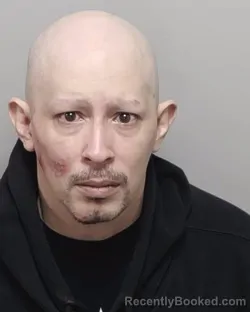 Mugshot of BRYAN ARCEO