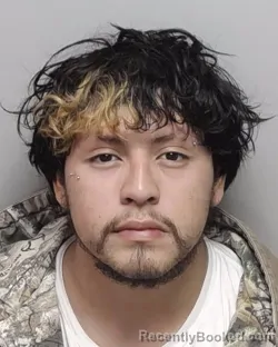 Mugshot of ANTHONY R RODRIGUEZ