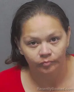 Mugshot of DANA D PEREZ