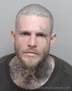 Mugshot of JAVIER JR LOPEZ