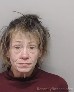 Mugshot of KIMBERLY A JOHNSON
