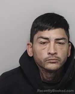 Mugshot of CHRIS M PADGETT