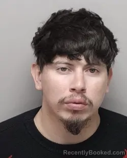 Mugshot of JULIO C JR ARGUMEDO