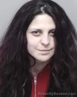 Mugshot of LEANN V BRANZ