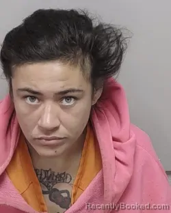 Mugshot of VALERIE M DAHL