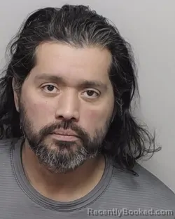 Mugshot of PETE L JR RODRIGUEZ