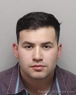 Mugshot of RYAN J GARZA