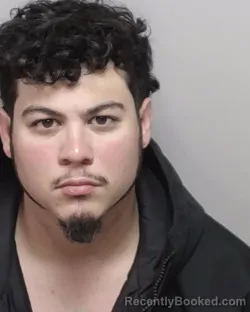 Mugshot of DANIEL FLORES