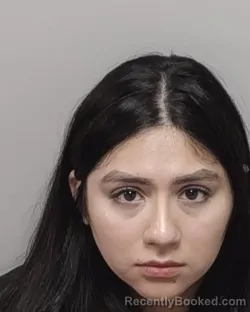 Mugshot of BLUE SKYY K MOSQUEDA