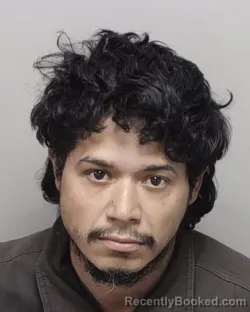 Mugshot of ANDRES GARCIA