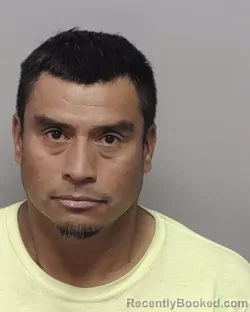 Mugshot of JOSE C MARTINEZ