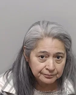 Mugshot of MARY A HERRERA