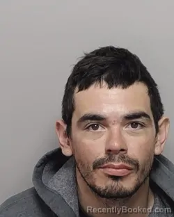 Mugshot of NIKKO R CASTILLO