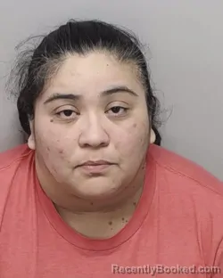 Mugshot of ADELAIDA GAITAN