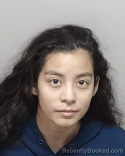 Mugshot of YVONNE A BLISCHE