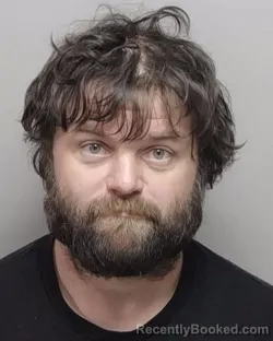 Mugshot of RYAN W PARKS