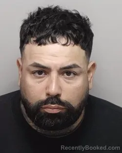 Mugshot of NICK J ESTEVES