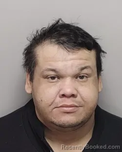 Mugshot of ANTHONY L CASTILLO