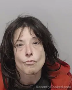 Mugshot of DIANA N ALCALA