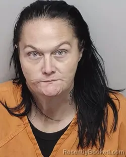 Mugshot of ALIAH I AGHA