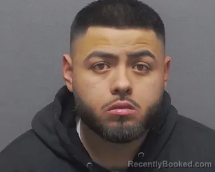 Mugshot of DAVID A JR LUNA