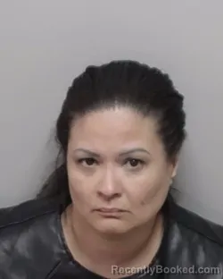 Mugshot of BRENDA L DIAZ-AYALA
