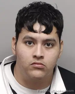 Mugshot of IVAN J MANZO