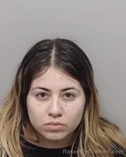 Mugshot of DAYANNA S PARRA RAMIREZ