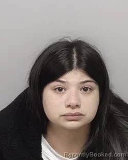 Mugshot of SARA A RAMIREZ