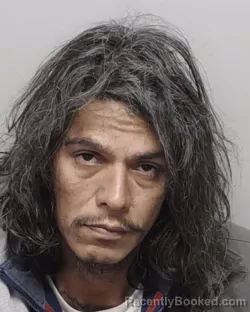 Mugshot of ALEX A TORRES